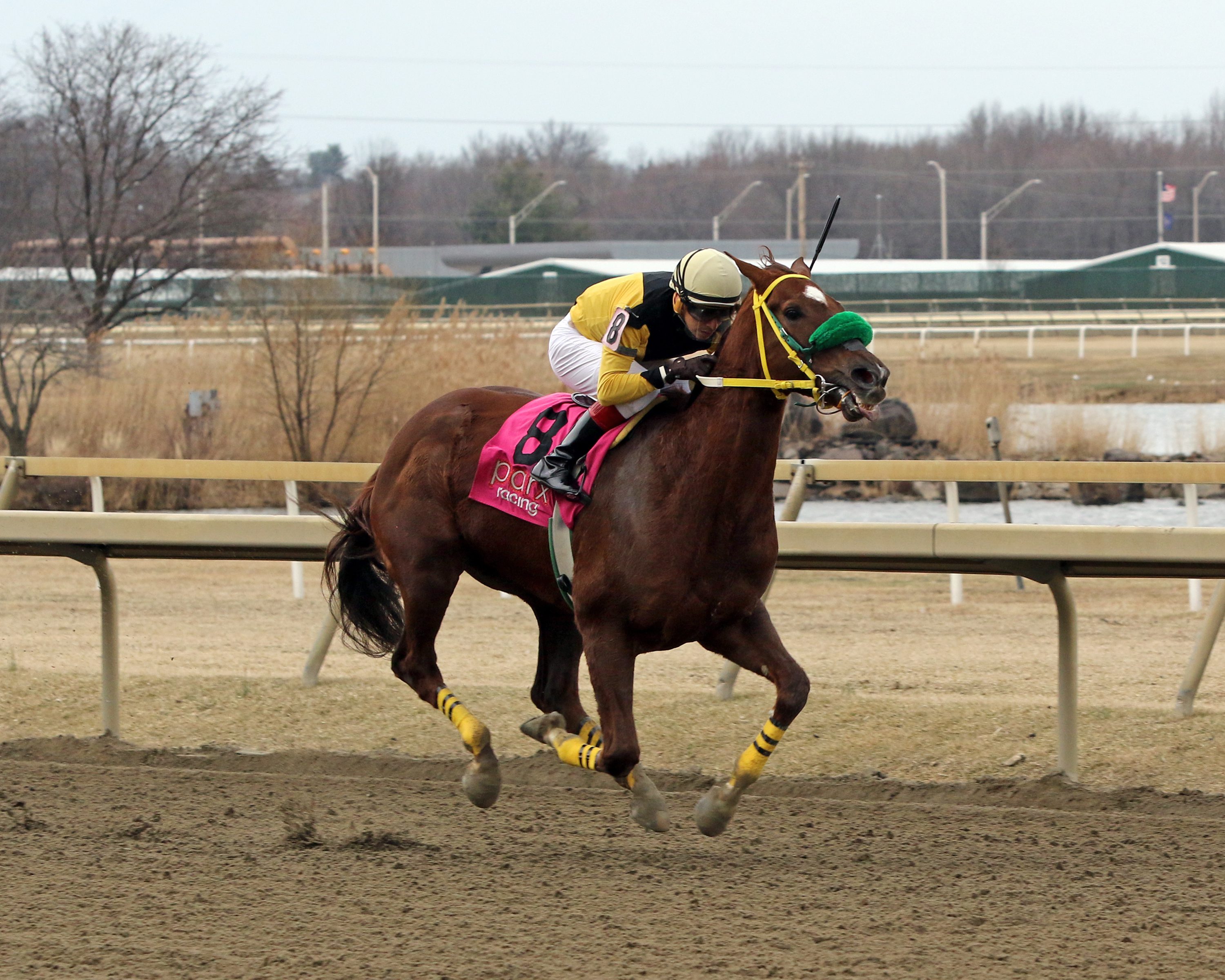 Admiral Eastwood with Silvestre Gonzalez win Race 6 at Parx on March 7, 2022. Photo By: Chad B. Harmon