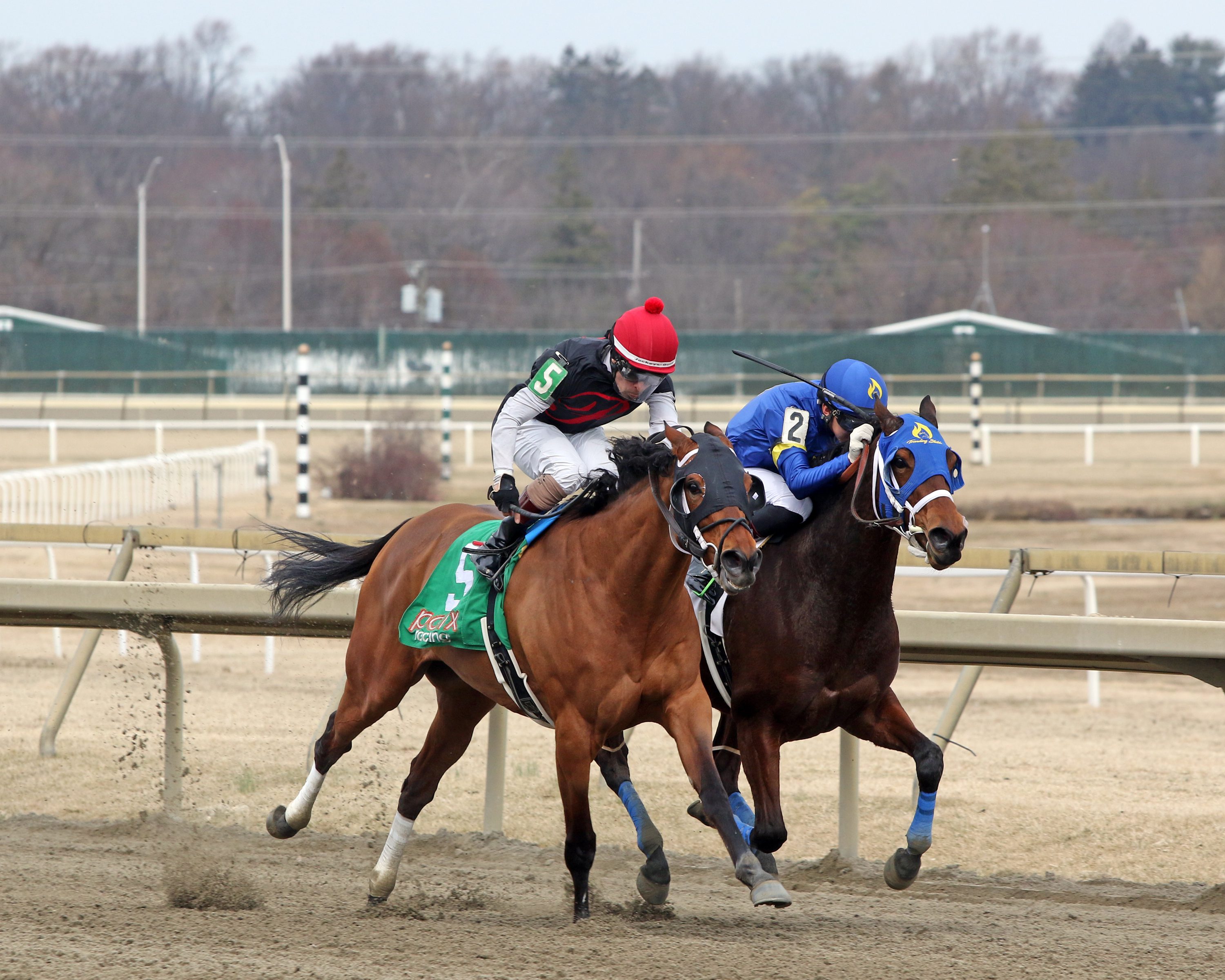 Gypsy Janie #5 with Ruben Silvera and Dreaming Diamonds #2 with Antonio Gomez in the stretch of Race 1 at Parx on March 7, 2022. Photo By: Chad B. Harmon