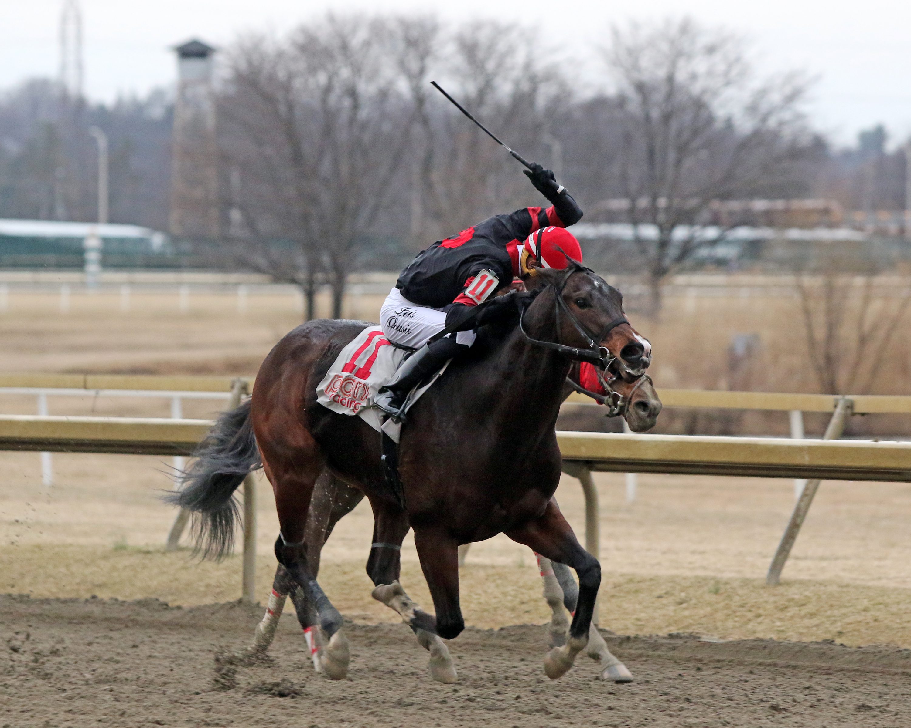 Hollywood Jet with Luis Ocasio win The Fishtown at Parx on March 7, 2022. Photo By: Chad B. Harmon