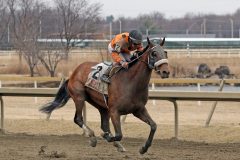Bird King with Angel Castillo win The Washington Crossing at Parx on March 7, 2022. Photo By: Chad B. Harmon