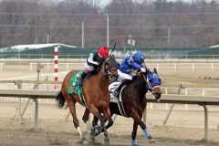 Gypsy Janie #5 with Ruben Silvera and Dreaming Diamonds #2 with Antonio Gomez in the stretch at Parx on March 7, 2022. Photo By: Chad B. Harmon