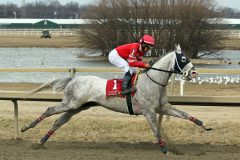 Lindros with Jaime Rodriguez in Race 5 at Parx on March 7, 2022. Photo By: Chad B. Harmon