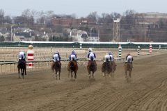 The field for Race 4 on the backstretch at Parx on March 7, 2022. Photo By: Chad B. Harmon