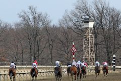 The field for Race 7 in deep stretch at Parx on March 7, 2022. Photo By: Chad B. Harmon