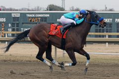 Reiterate with Dexter Haddock win Race 2 at Parx on March 7, 2022. Photo By: Chad B. Harmon