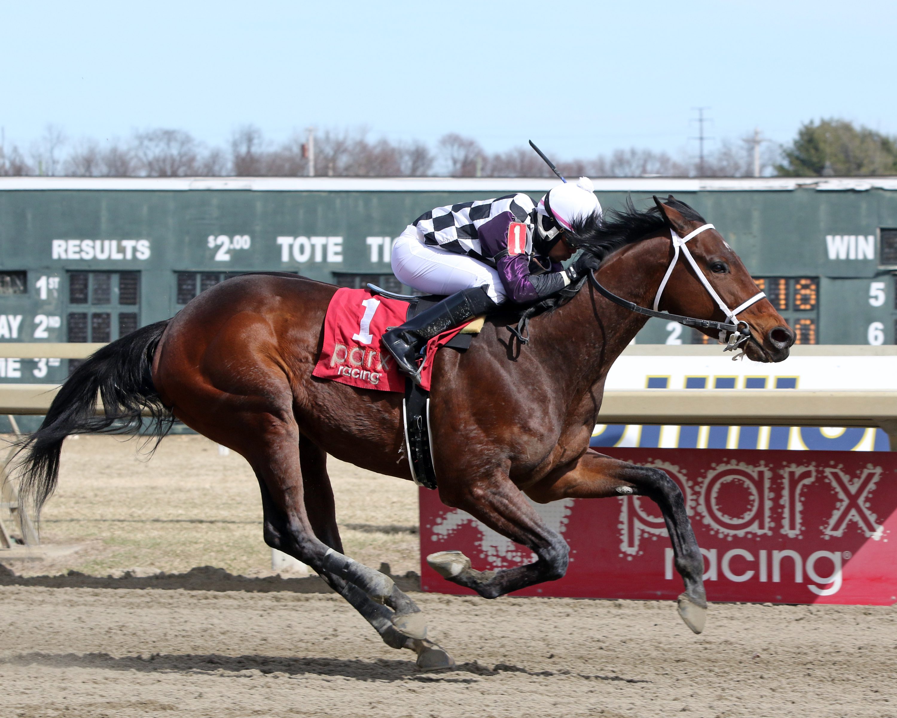 Far Mo Power with Dexter Haddock win Race 1 at Parx on March 8, 2022. Photo By: Chad B. Harmon