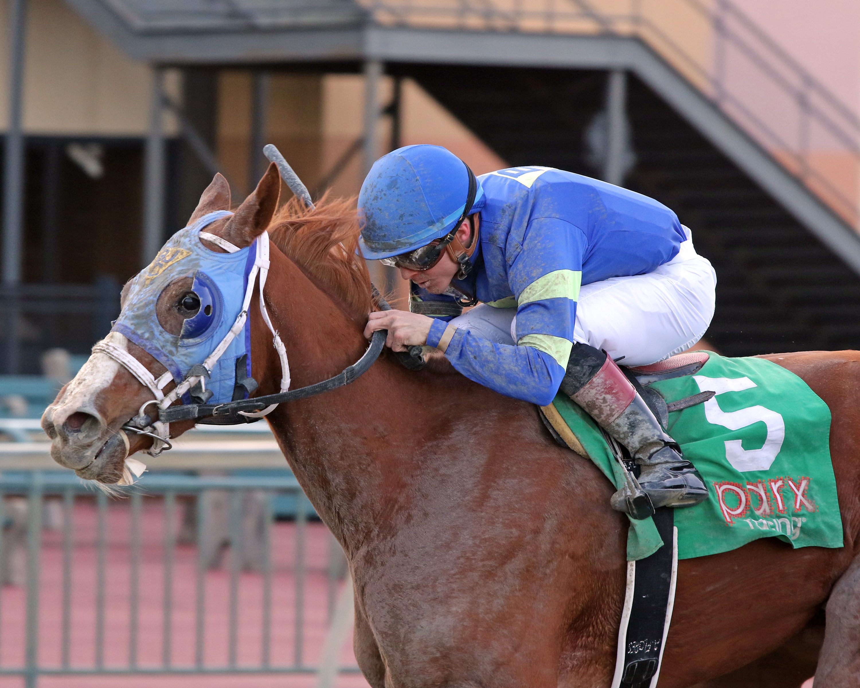 Kisses for Emily with Dylan Davis win The Society Hill at Parx on March 8, 2022. Photo By: Chad B. Harmon