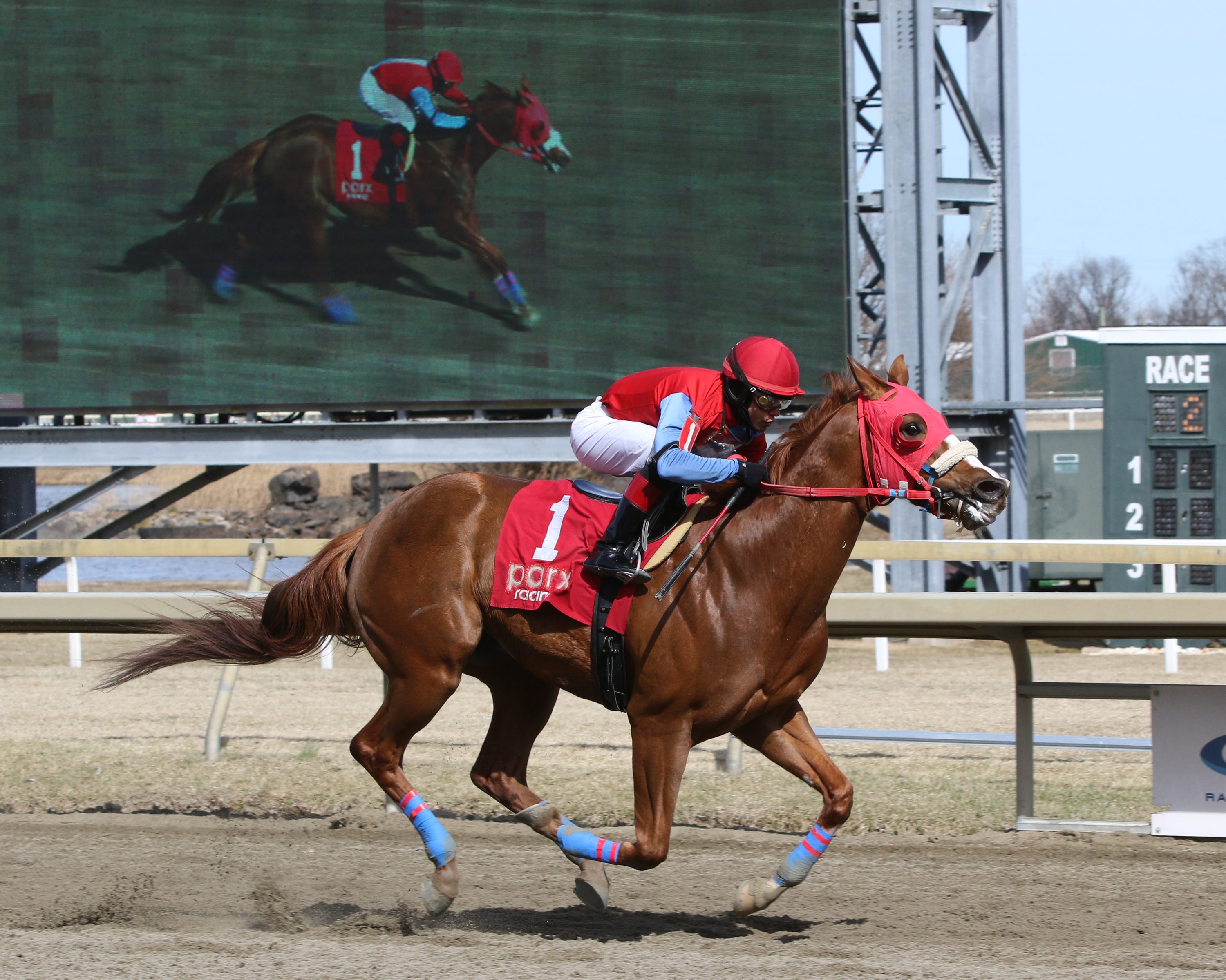 Mr Fantasy with Gerardo Milan win Race 2 at Parx on March 8, 2022. Photo By: Chad B. Harmon
