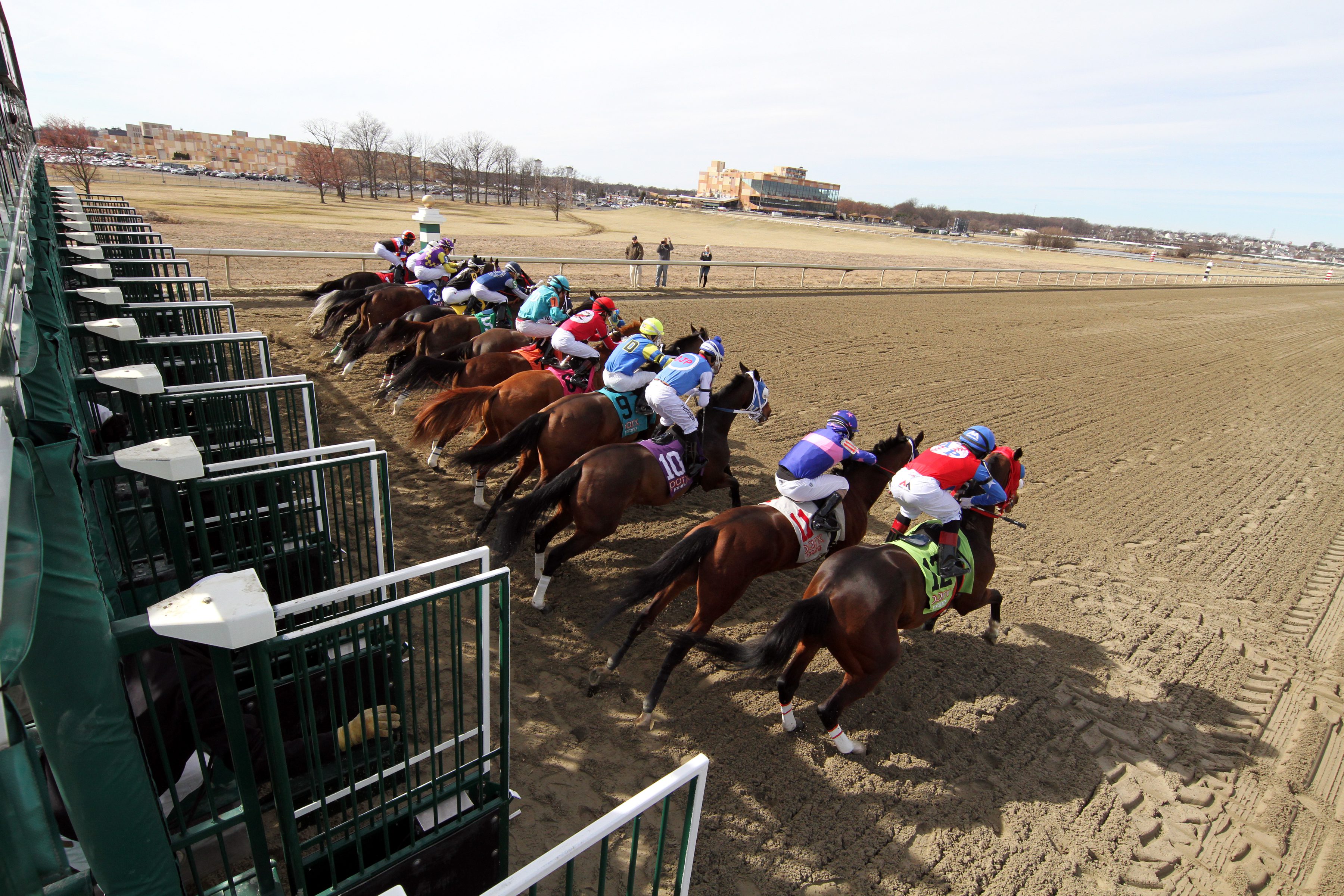 The start of Race 3 at Parx on March 8, 2022. Photo By: Chad B. Harmon