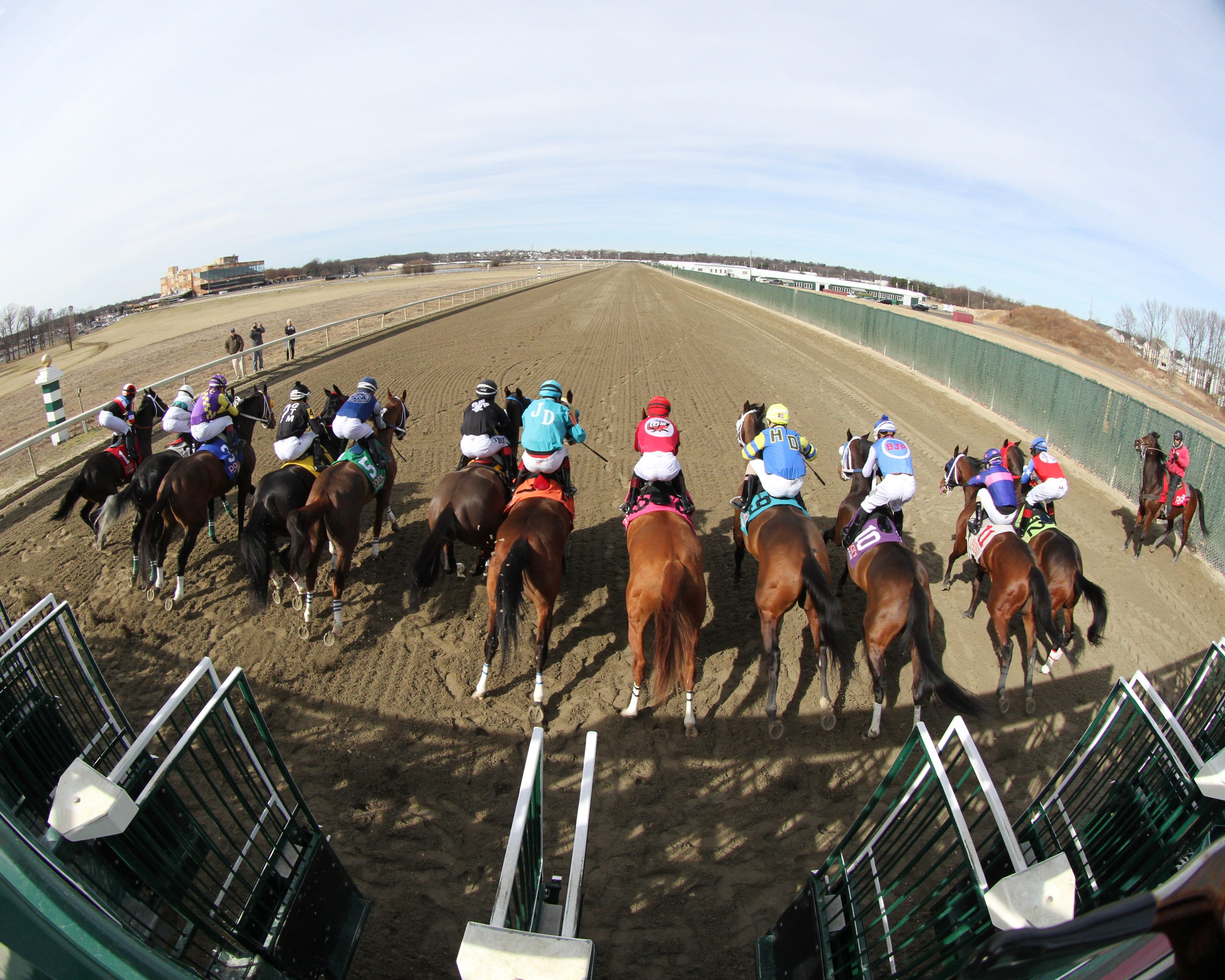 The start of Race 3 at Parx on March 8, 2022. Photo By: Chad B. Harmon