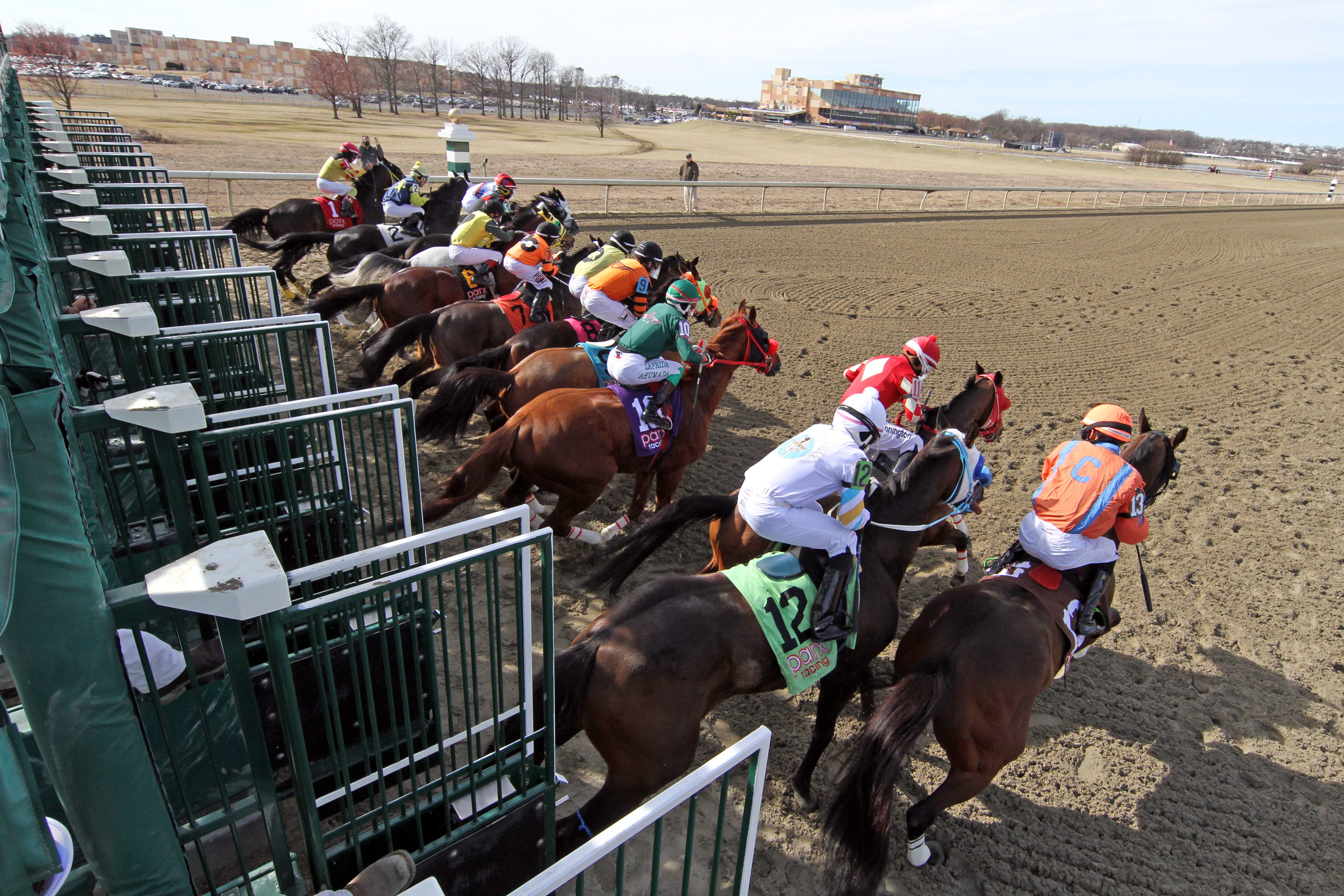 The start of Race 4 at Parx on March 8, 2022. Photo By: Chad B. Harmon