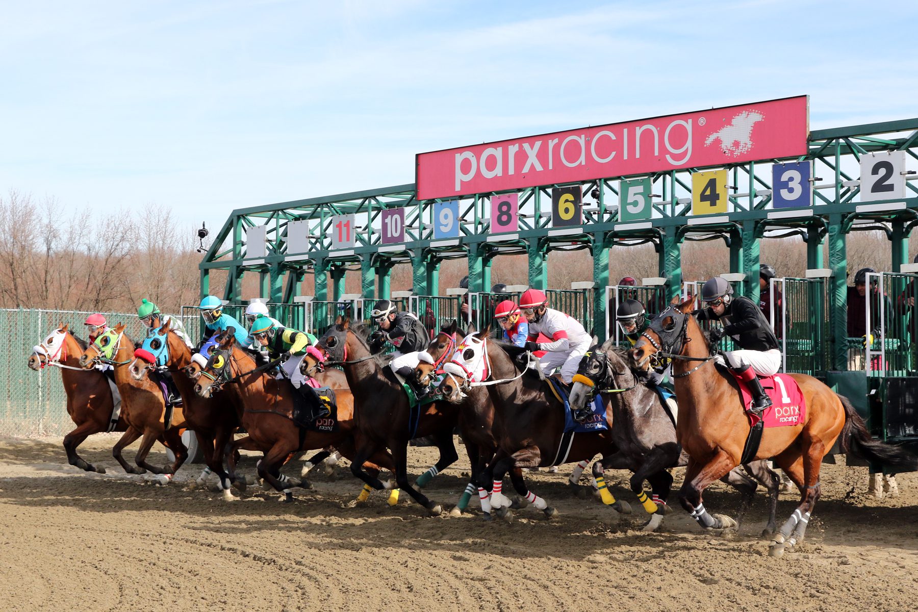 The start of Race 5 at Parx on March 8, 2022. Photo By: Chad B. Harmon