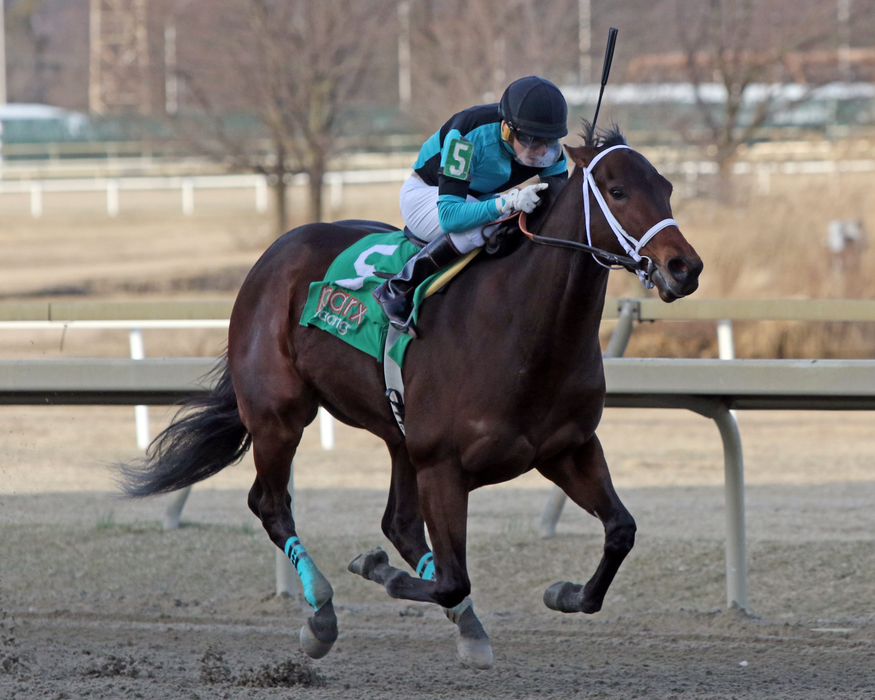 Scaramouche with Silvestre Gonzalez win The Rittenhouse Square at Parx on March 8, 2022. Photo By: Chad B. Harmon