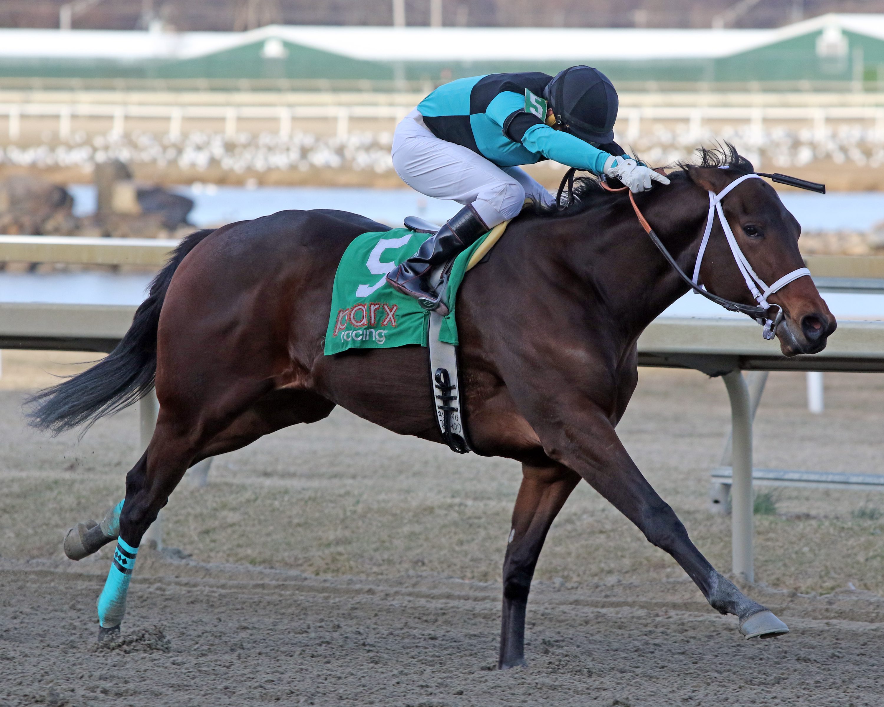 Scaramouche with Silvestre Gonzalez win The Rittenhouse Square at Parx on March 8, 2022. Photo By: Chad B. Harmon