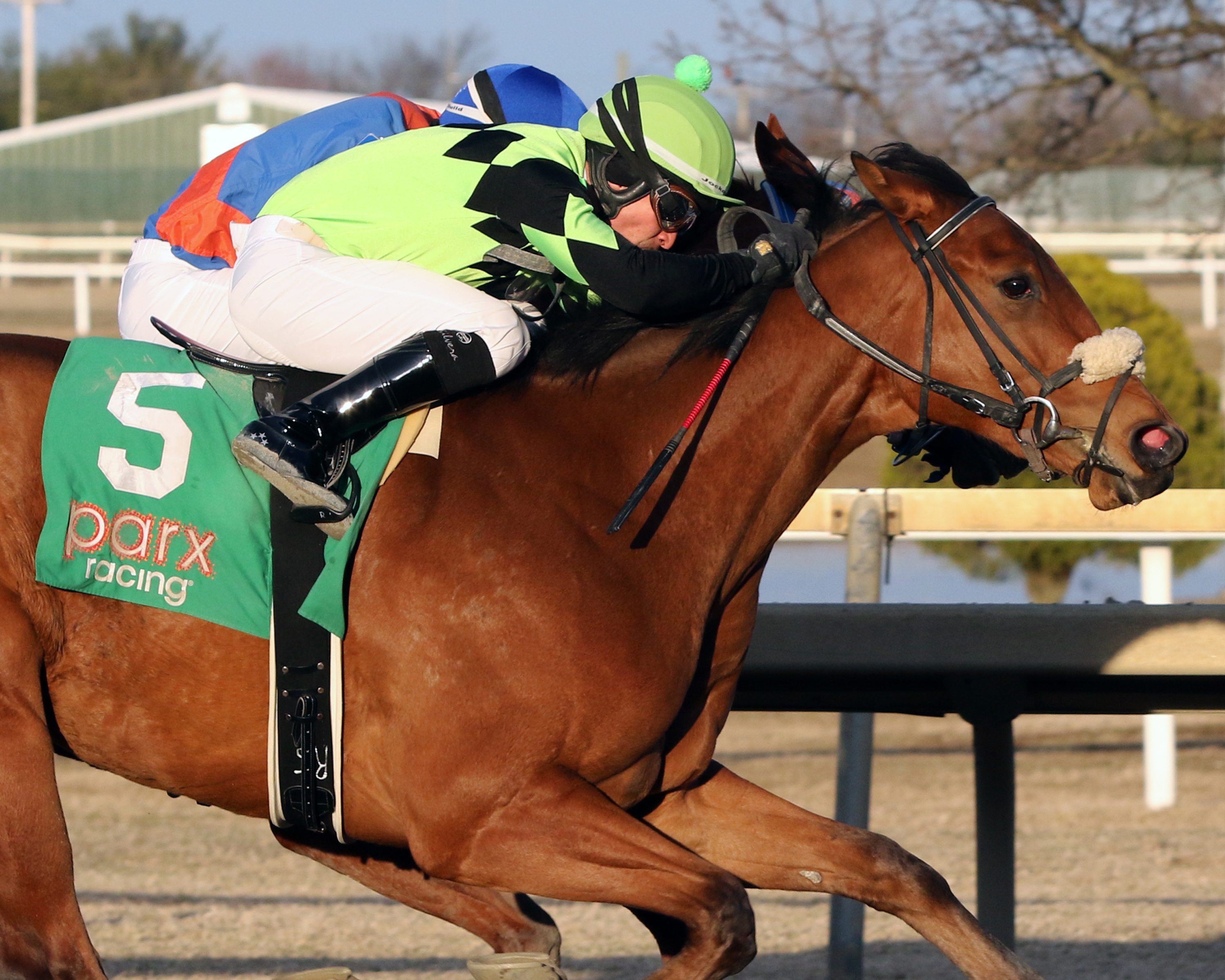 Twisted Ride with Ruben Silvera win The City of Brotherly Love at Parx on March 8, 2022. Photo By: Chad B. Harmon