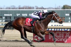 Far Mo Power with Dexter Haddock win Race 1 at Parx on March 8, 2022. Photo By: Chad B. Harmon