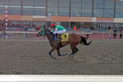 Helosthismarbles with Abner Adorno win Race 6 at Parx on March 8, 2022. Photo By: Chad B. Harmon
