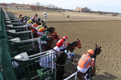 The start of Race 4 at Parx on March 8, 2022. Photo By: Chad B. Harmon