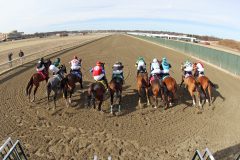 The start of Race 5 at Parx on March 8, 2022. Photo By: Chad B. Harmon